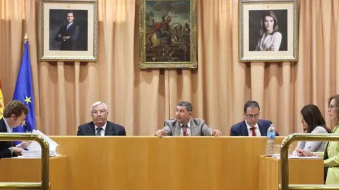 Imagén de archivo del pleno veleño