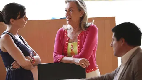Pleno Diputación de Málaga