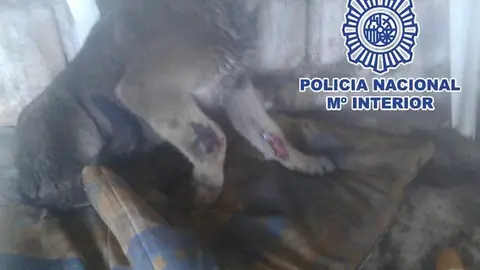 11-FOTOMEDIDAS WEB (1)..