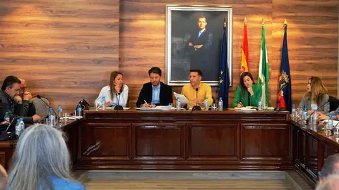 Pleno Ordinariode Torrox