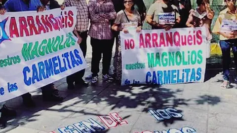 Manifestación para salvar los magnolios