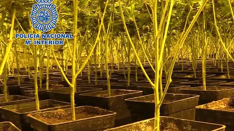 11-FOTOMEDIDAS WEB (1)