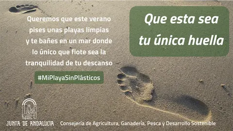 190822_Campaña huella sin plásticos playas