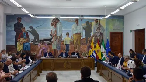 Imagen del pleno de Rincón de la victoria