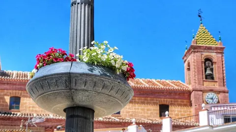 Macetero en la plaza de Torrox