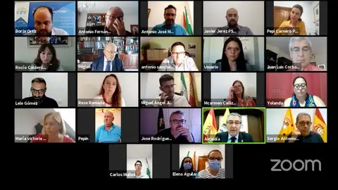 Imagen del pleno telemático de Rincón de la Victoria