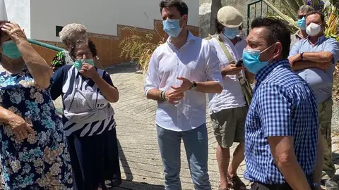 Pino en Cajiz