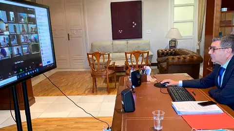 Moreno Ferrer en el pleno telemático