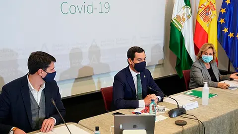 Moreno, durante la reunión del comité de expertos sobre el Covid-19, reunido este domingo en San Telmo