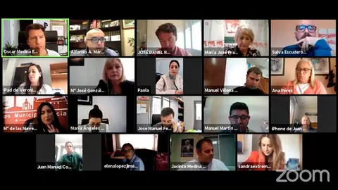 Pleno virtual de Torrox