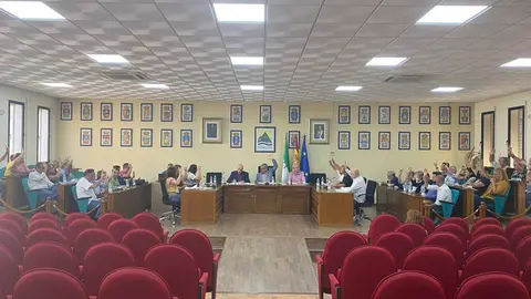 Pleno de Mancomunidad