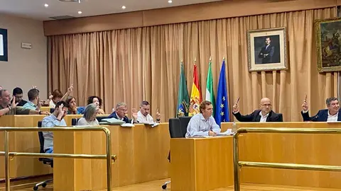 Pleno de Vélez-Málaga. Archivo