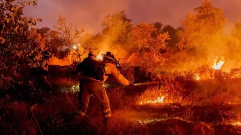 Efectivos de Infoca trabajando en un incendio. Archivo 112